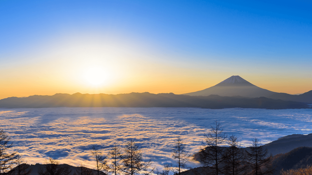 1月の休診日