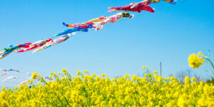 5月の休診日