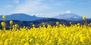 2026年3月の休診日